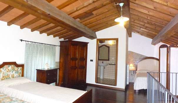 garzetta (3)