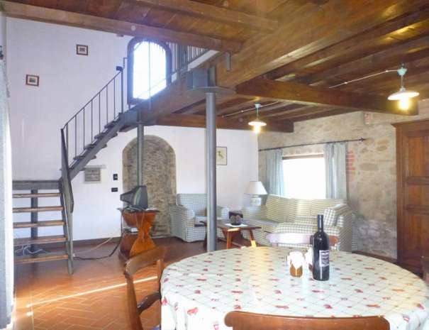 garzetta (9)